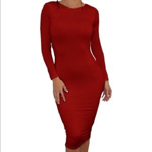 Long sleeve midi Dress.